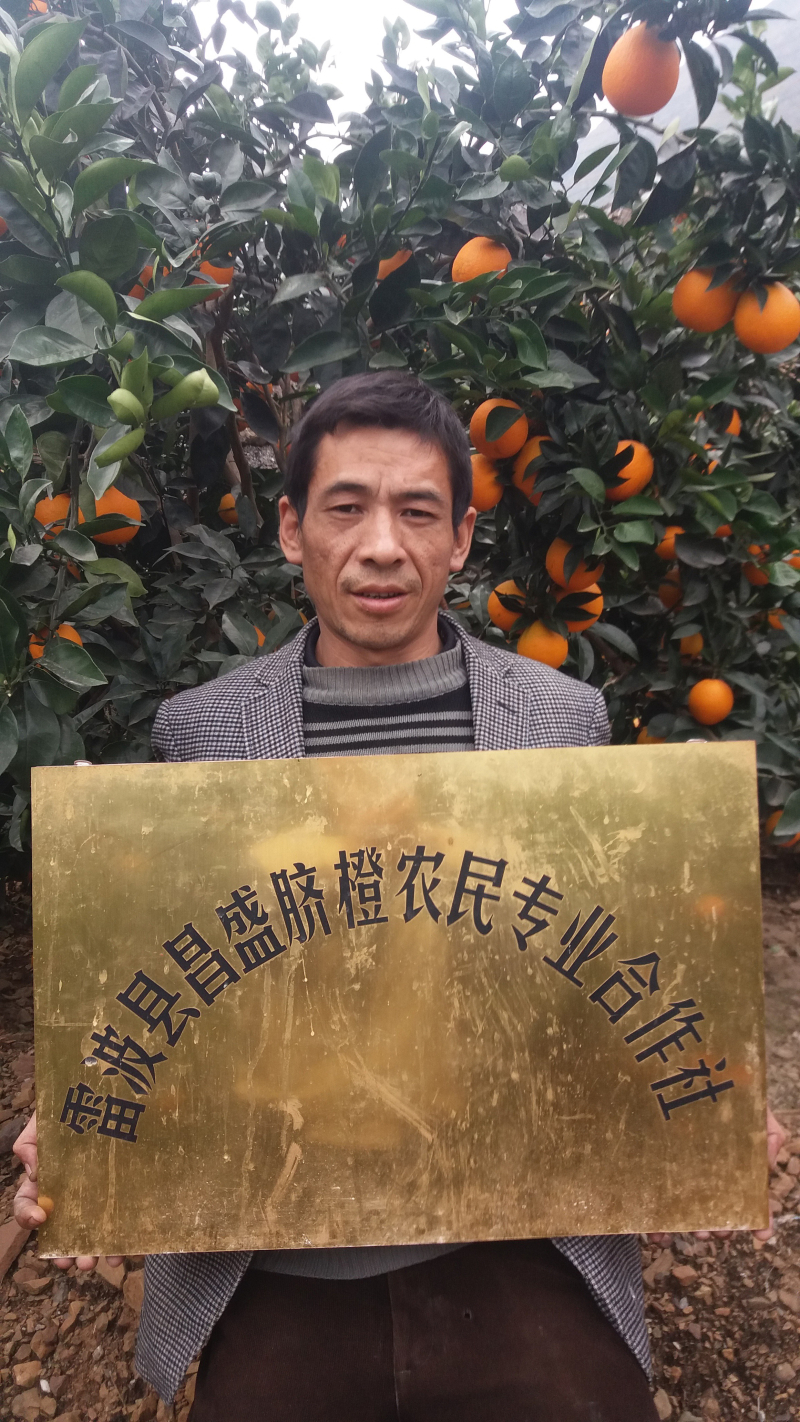 請?zhí)砑訄D片