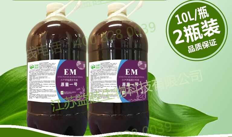 EM菌種研發(fā)公司介紹預(yù)防小龍蝦病害的方法